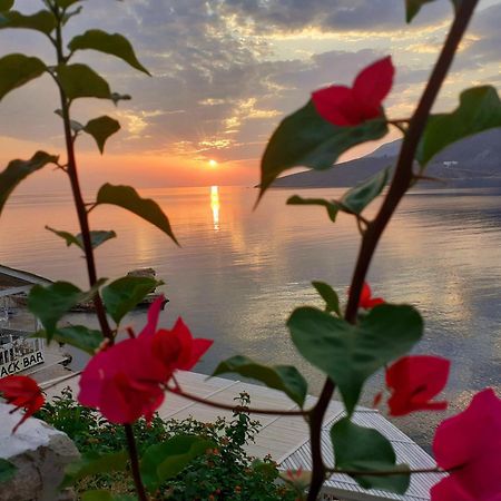 Ilidi Rock Aparthotel Λιβάδια Εξωτερικό φωτογραφία
