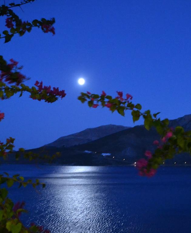 Ilidi Rock Aparthotel Λιβάδια Δωμάτιο φωτογραφία